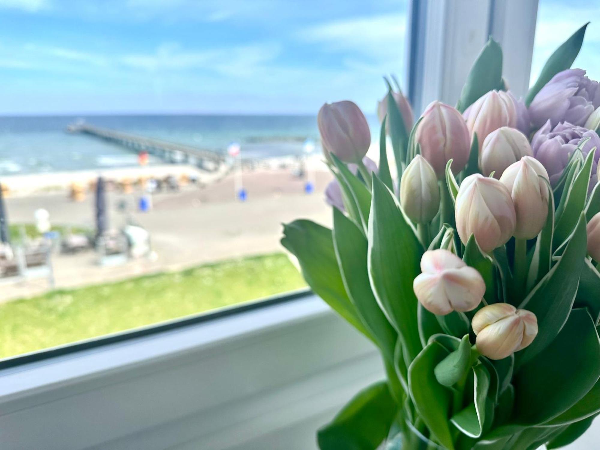 Traum Ostseemeerblick 舍恩贝里耶海滩 外观 照片